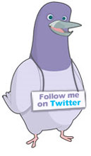 Twitter bird