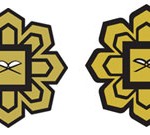 iiumlogo iiumlogo