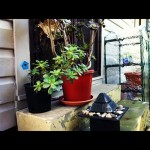 20120425-215232.jpg